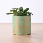 Chota Terracotta Mini Planter - Turquoise
