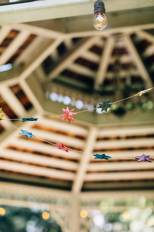 Garland stars M/3 palm leaf 14ft pastels