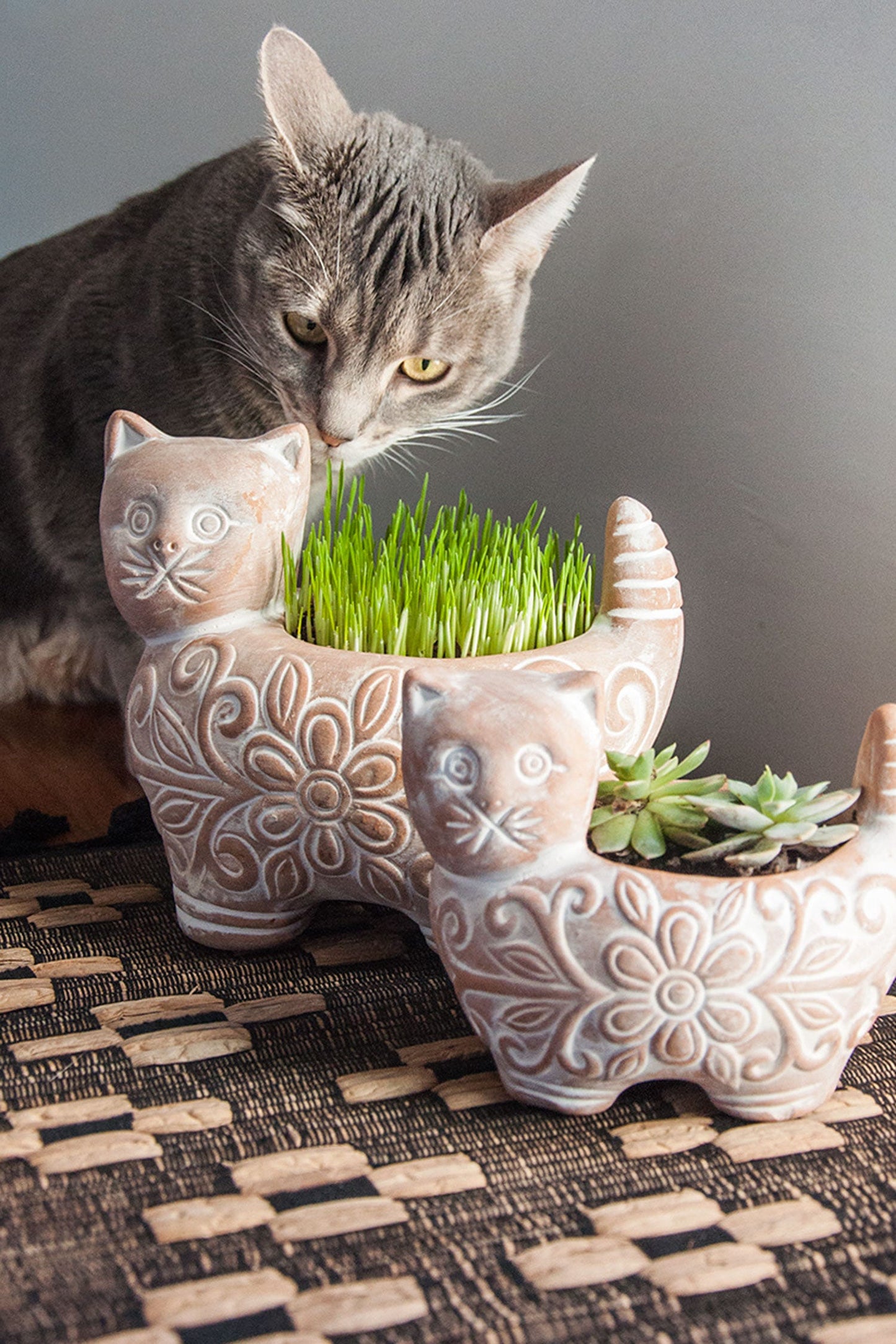 Planter cat whitewashed t-cotta 7Dx6H