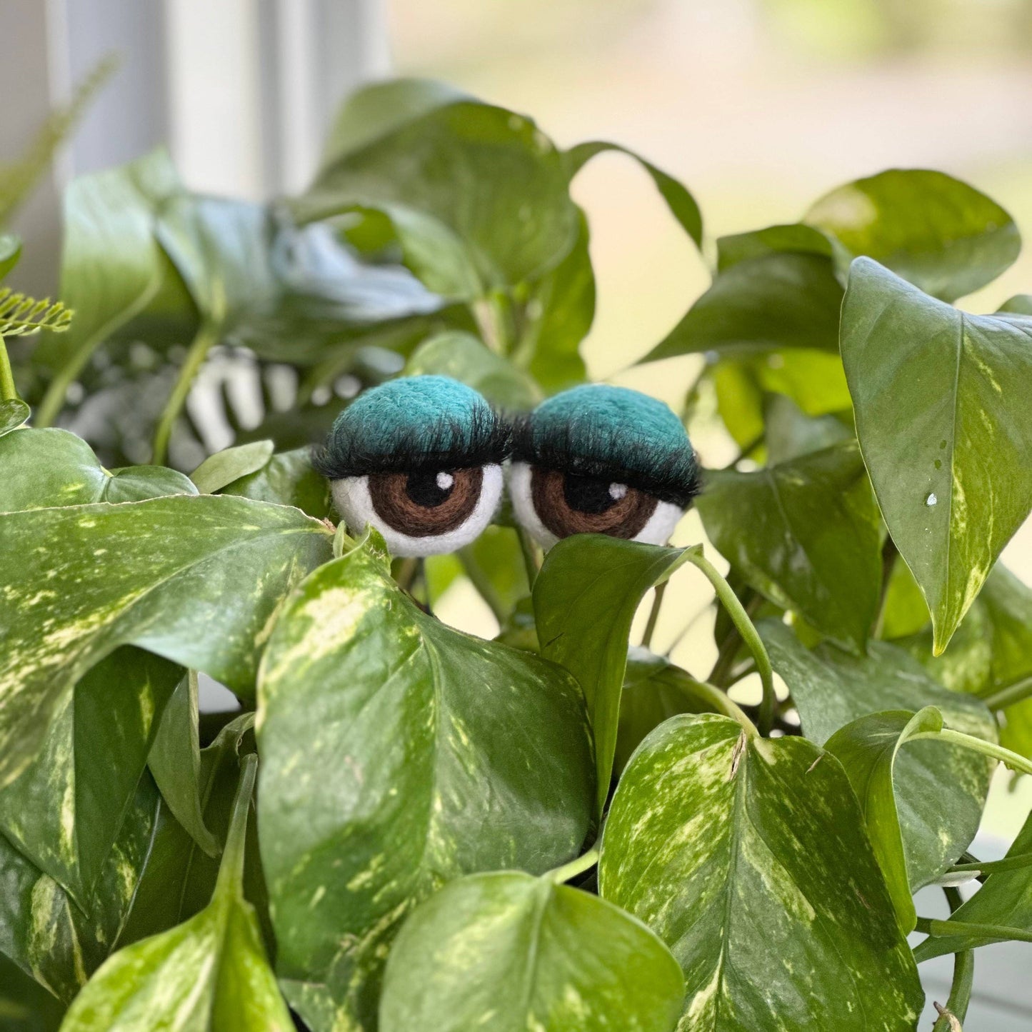 Felt Planter Eyeballs with Eyelashes 