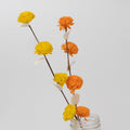 Flowers on stems M/2 shola flower 17L yel/orng