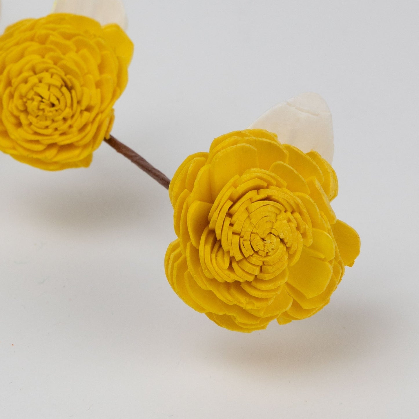 Flowers on stems M/2 shola flower 17L yel/orng