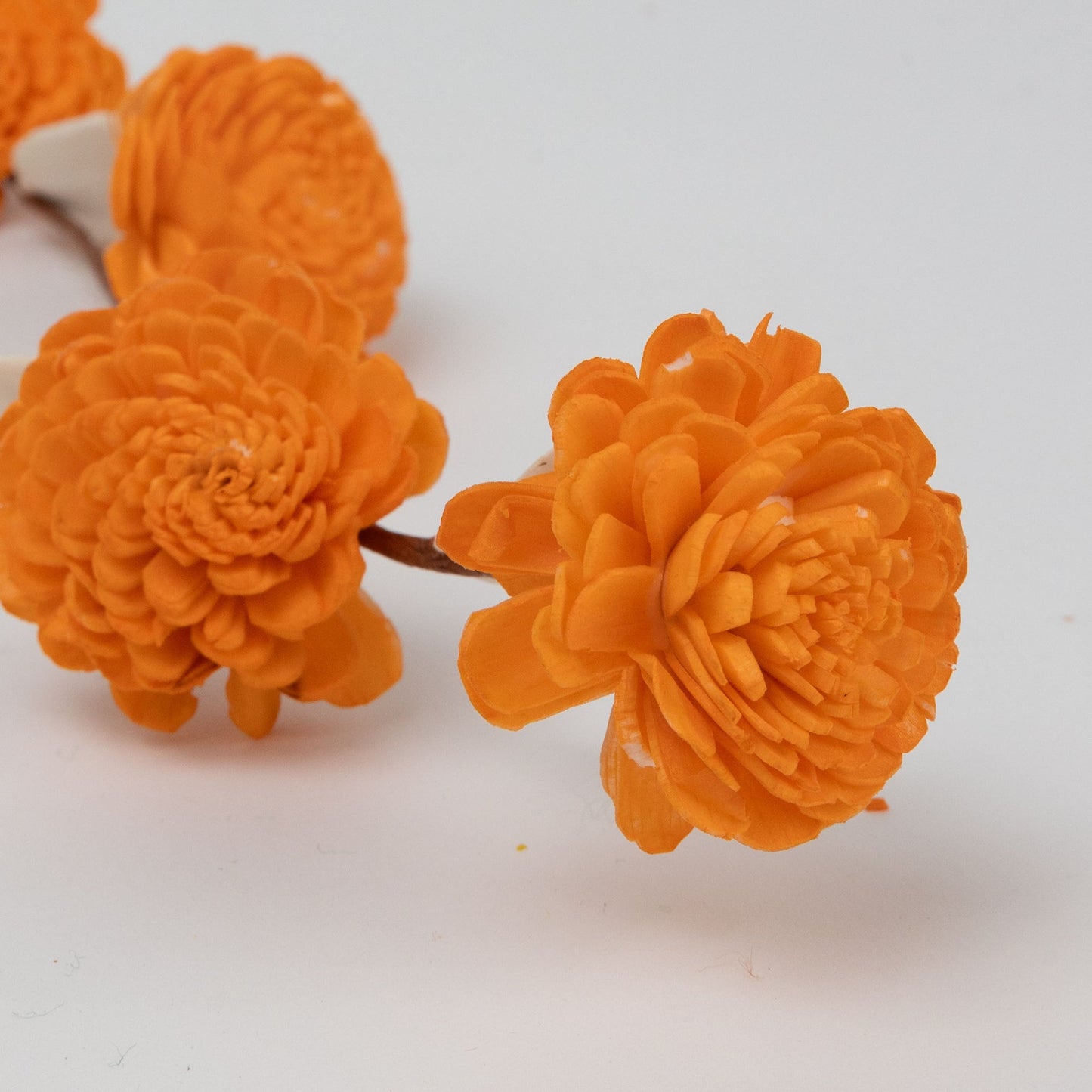 Flowers on stems M/2 shola flower 17L yel/orng