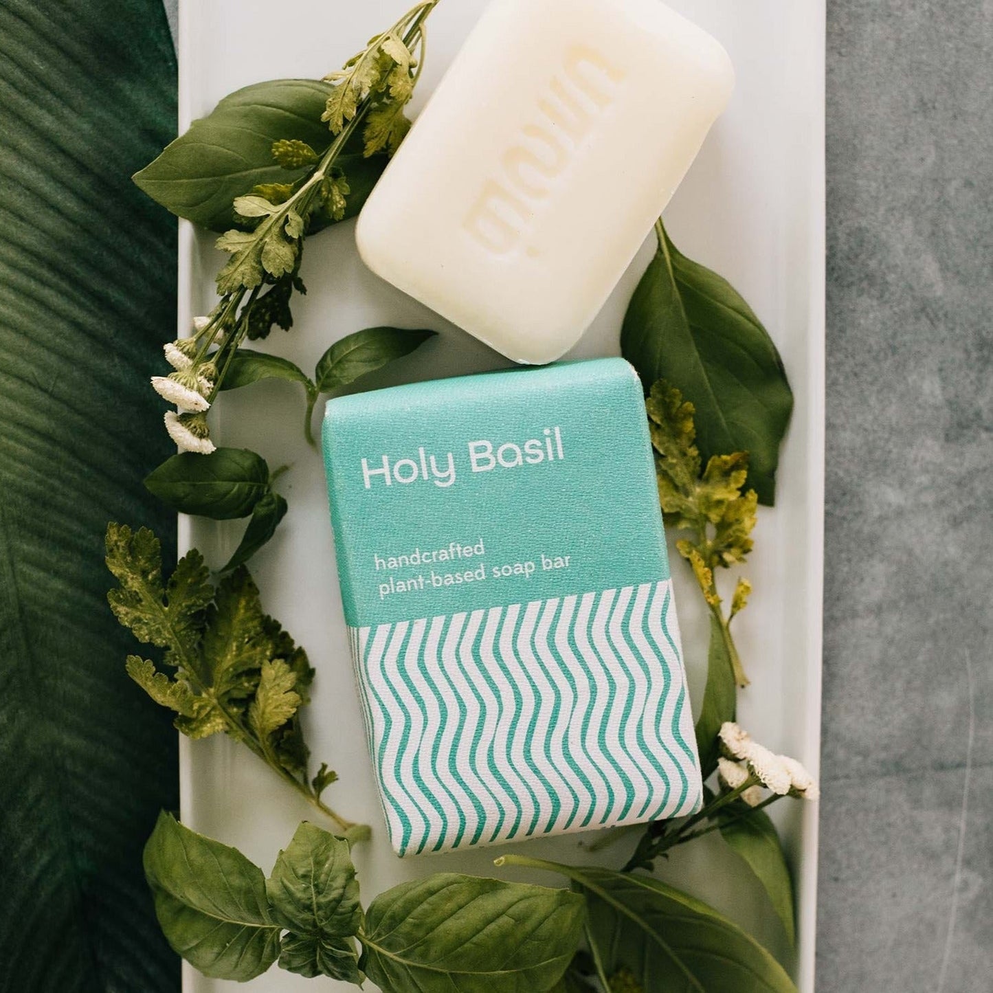 Plant Based Soap, Holy Basil