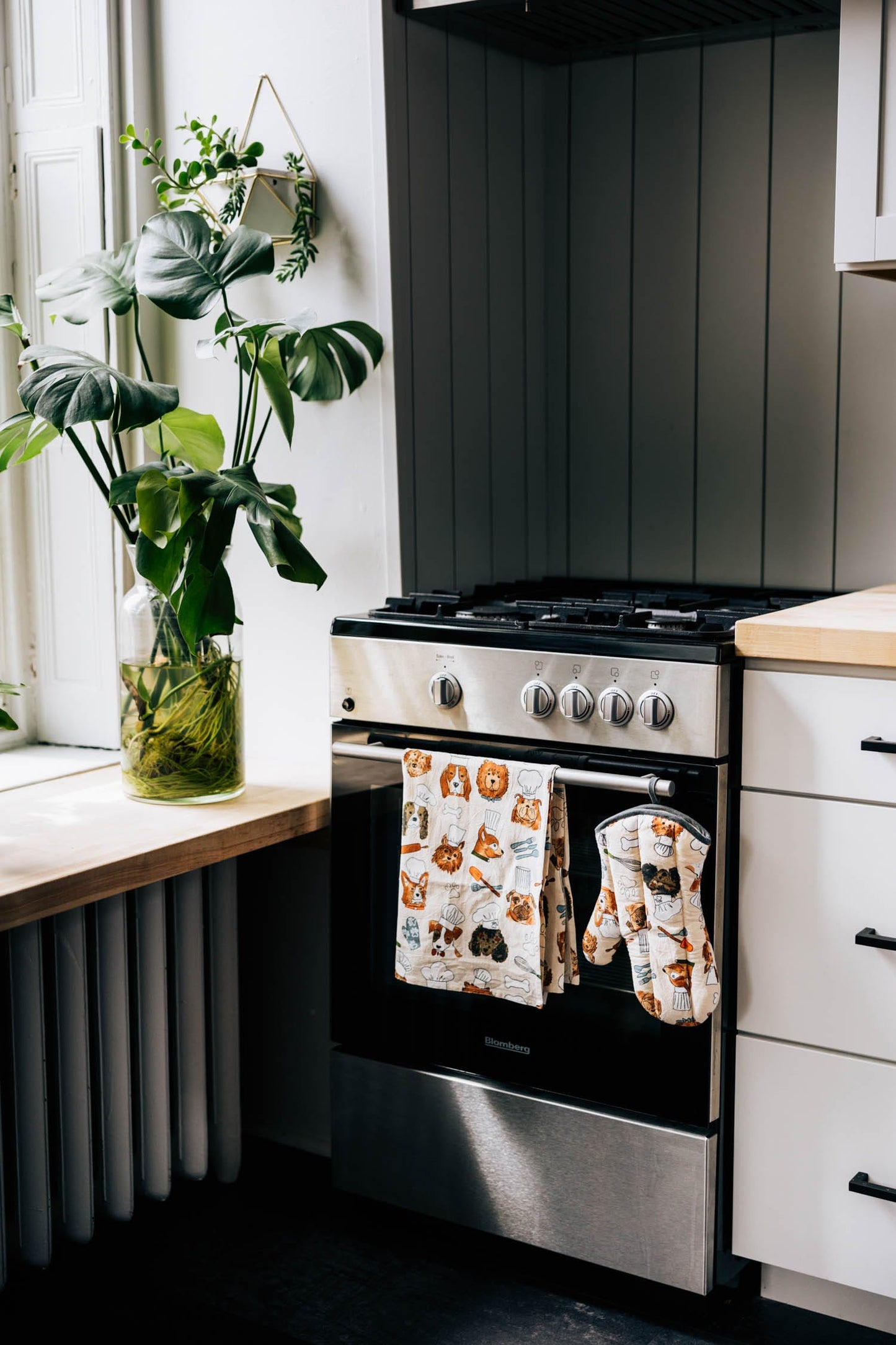 Tea towel dog chefs M/3 cotton 18x24 crm/brn/grn