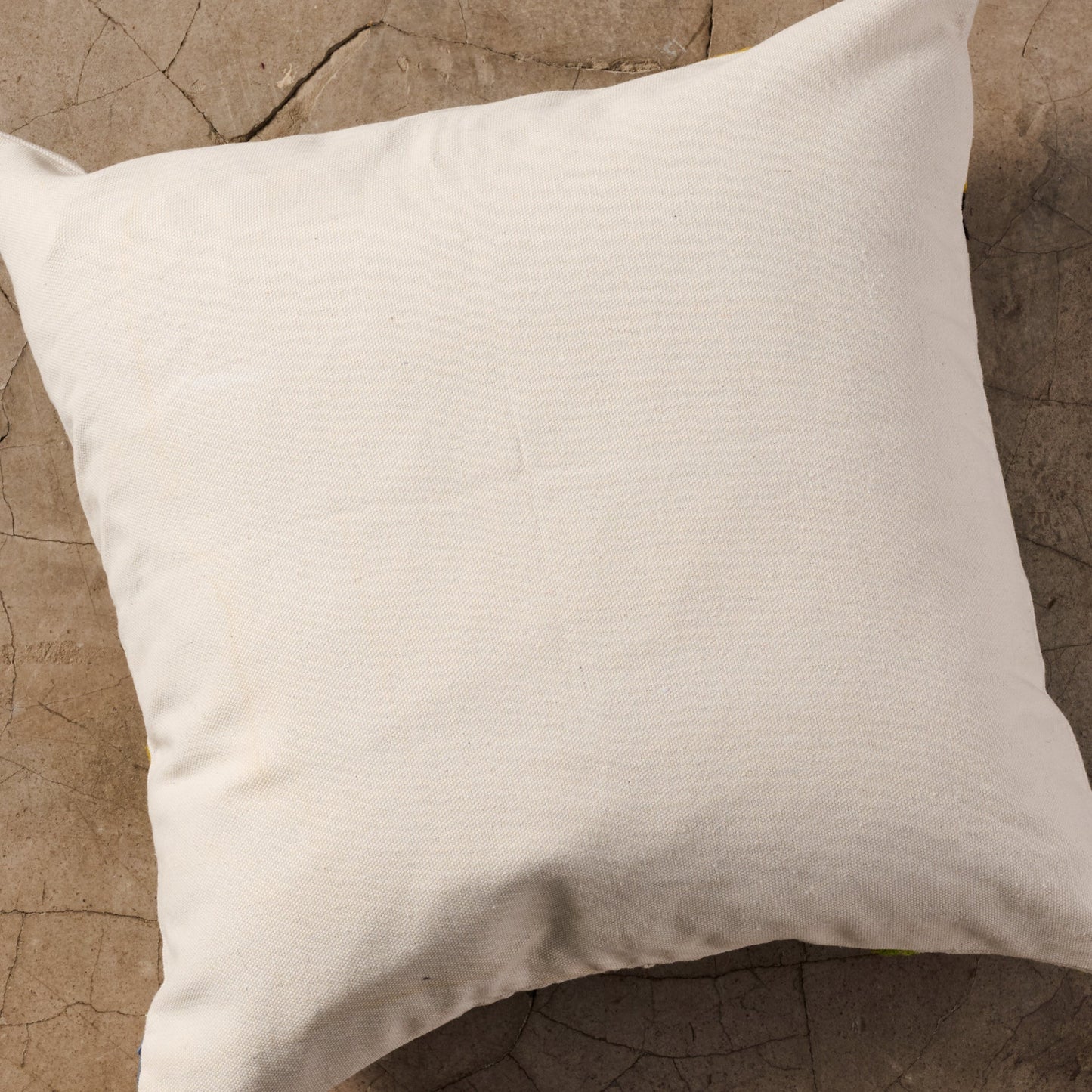 Bela Embroidered Pillow