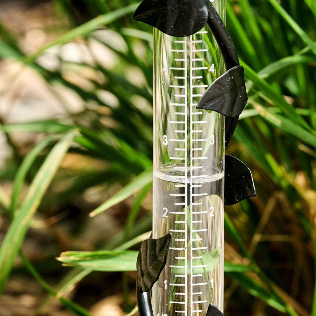 Rain gauge bird/leaf spiral iron/glss 1.5Dx11H blk