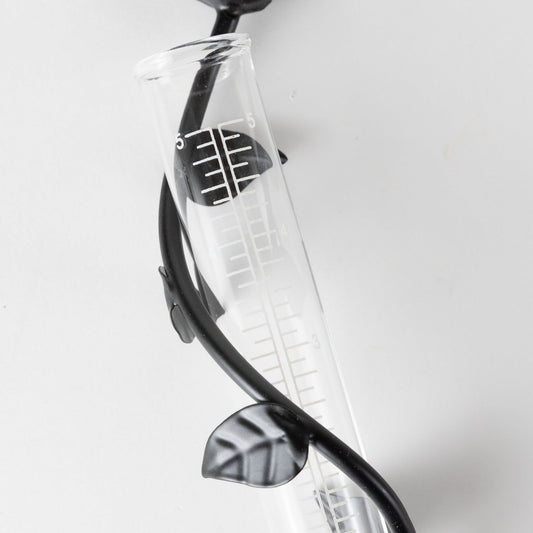 Rain gauge bird/leaf spiral iron/glss 1.5Dx11H blk