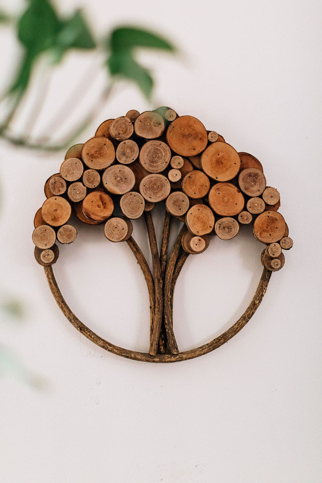 Wall hanging tree/circle slices of wood 13D nat