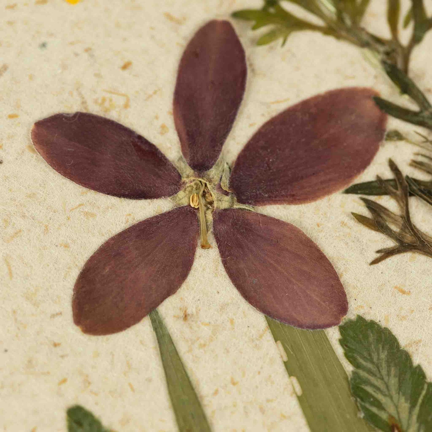 Hello Friend Flowers Greeting Card - Default Title (7925170)