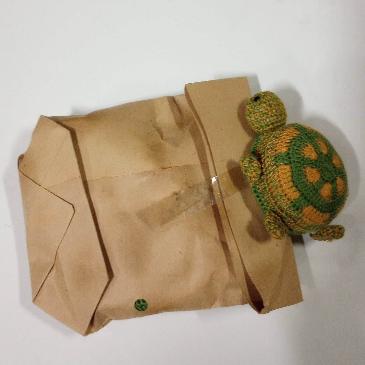 Turtle Measuring Tape