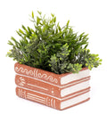 Terracotta Books Planter