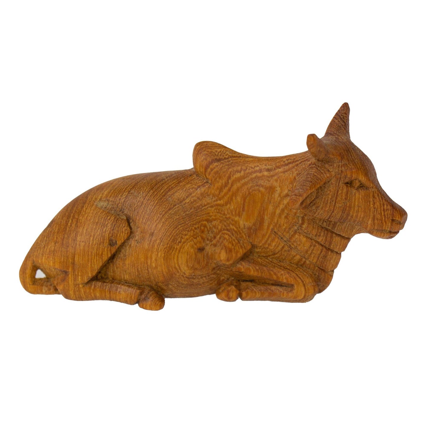 Wild Wood Nativity Set, 13 pieces