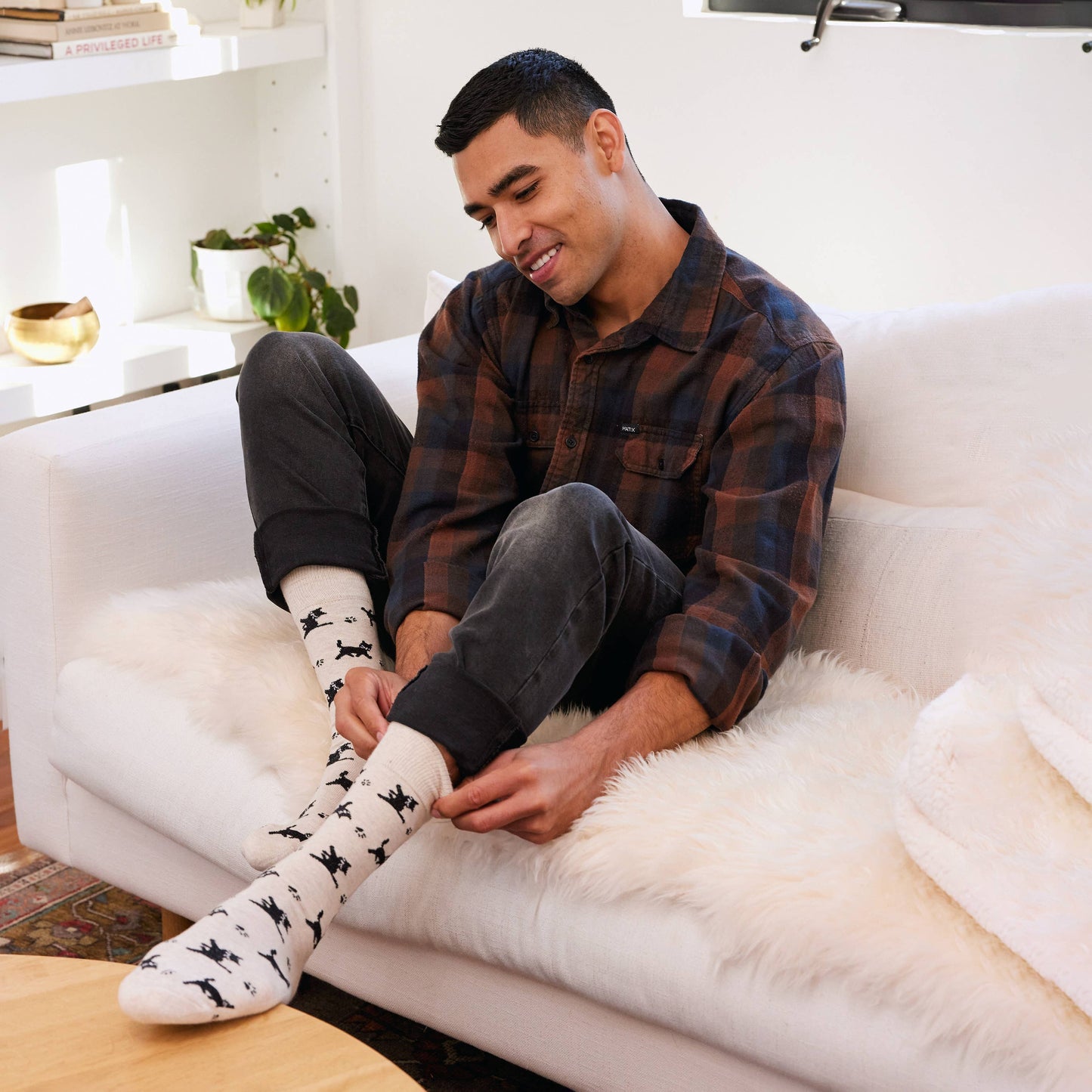 Boxed Set Socks that Save Cats^