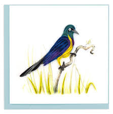 Quilled Greeting Card, “Golden-breasted Starling”