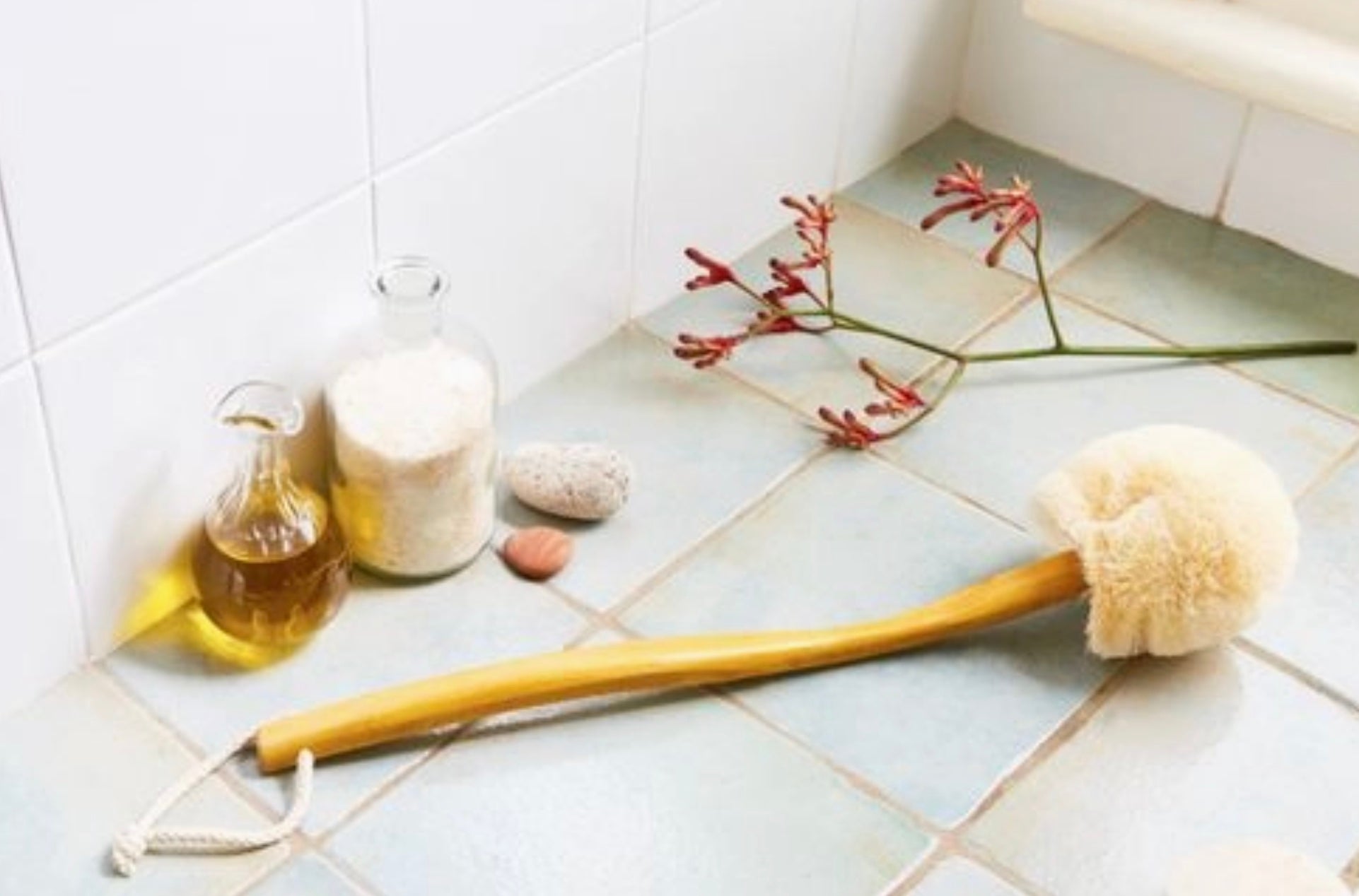 Bath Brush, "Back and Body"