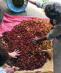 BREAKFAST BLEND - WHOLE BEAN 12OZ