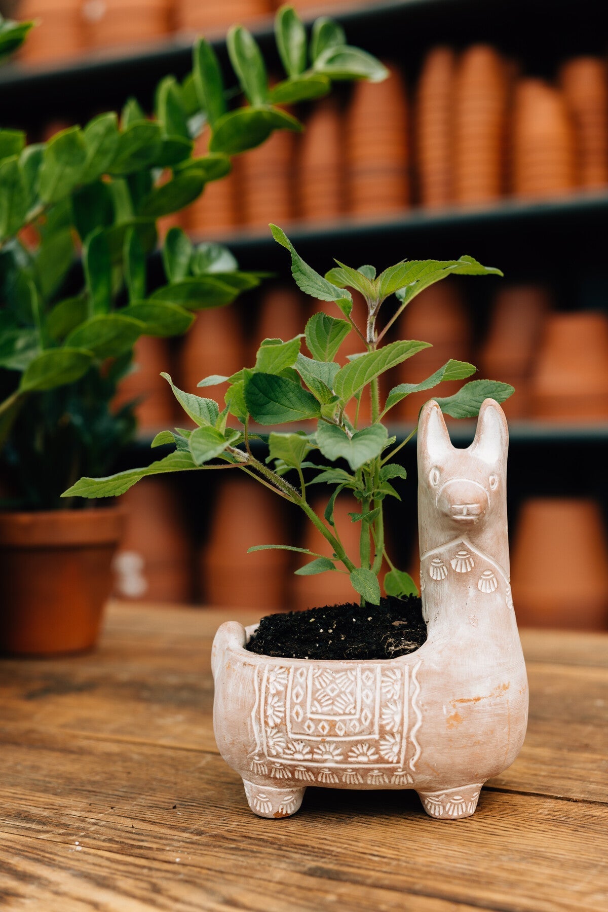 Planter, Terracotta Llama