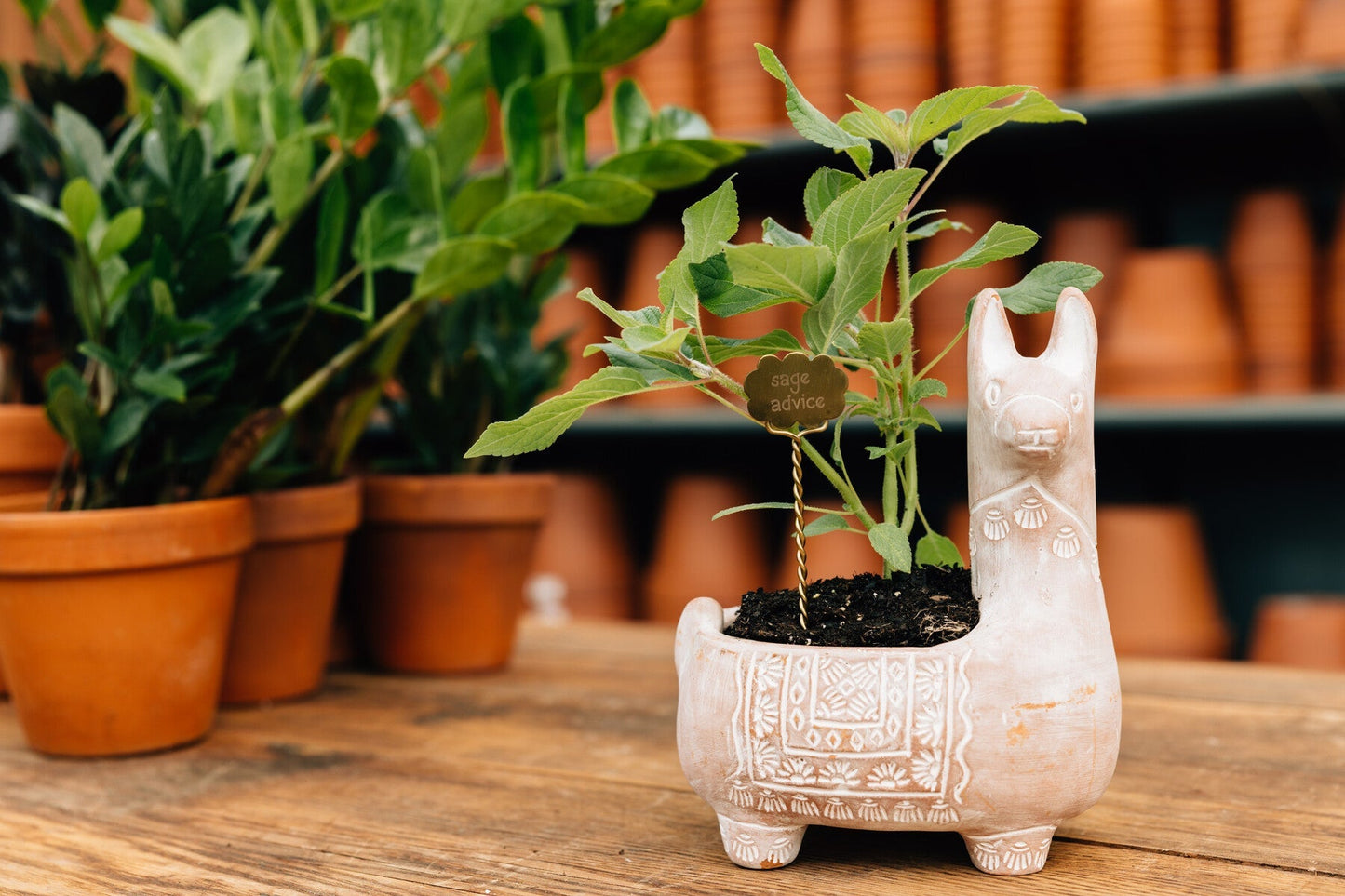 Plant markers S/2 meditation steel/br 6.5L brass