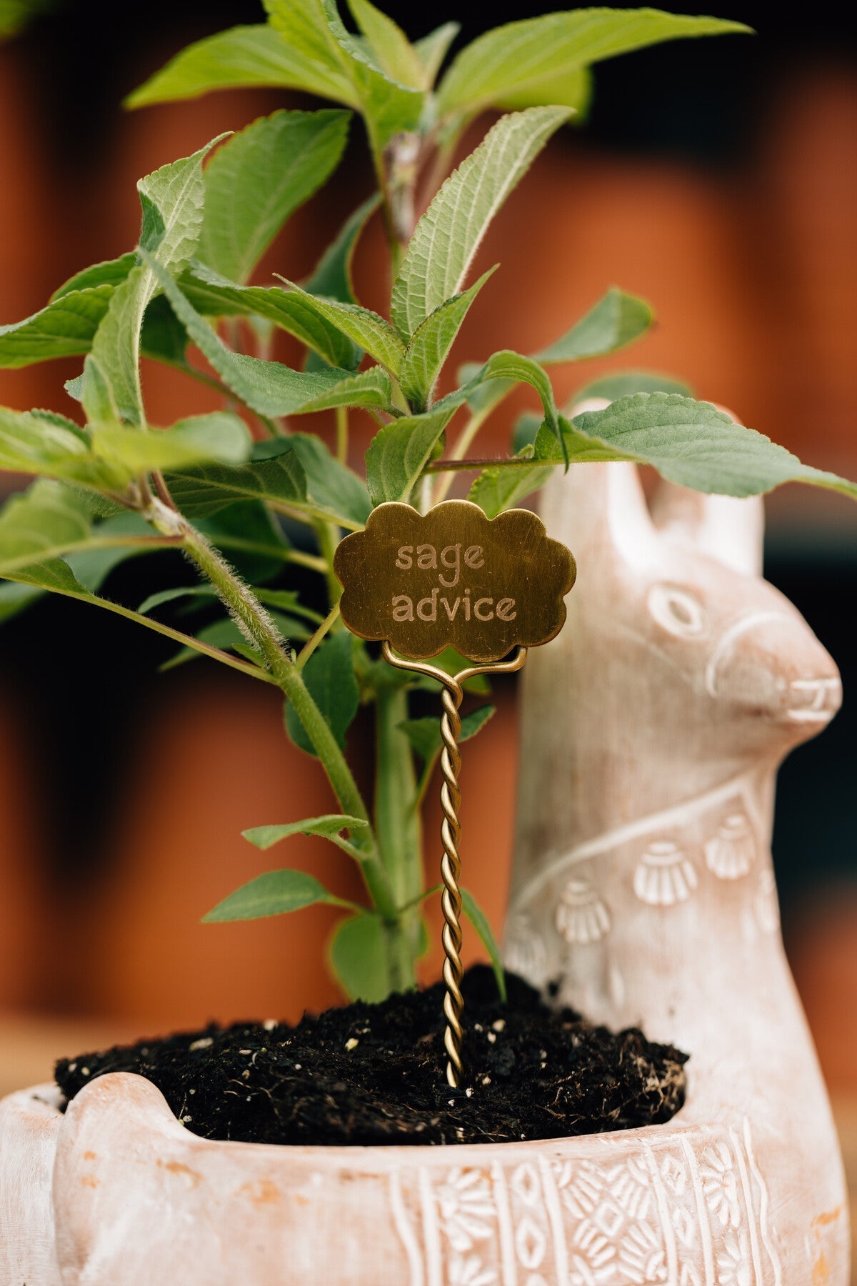 Plant markers S/2 meditation steel/br 6.5L brass