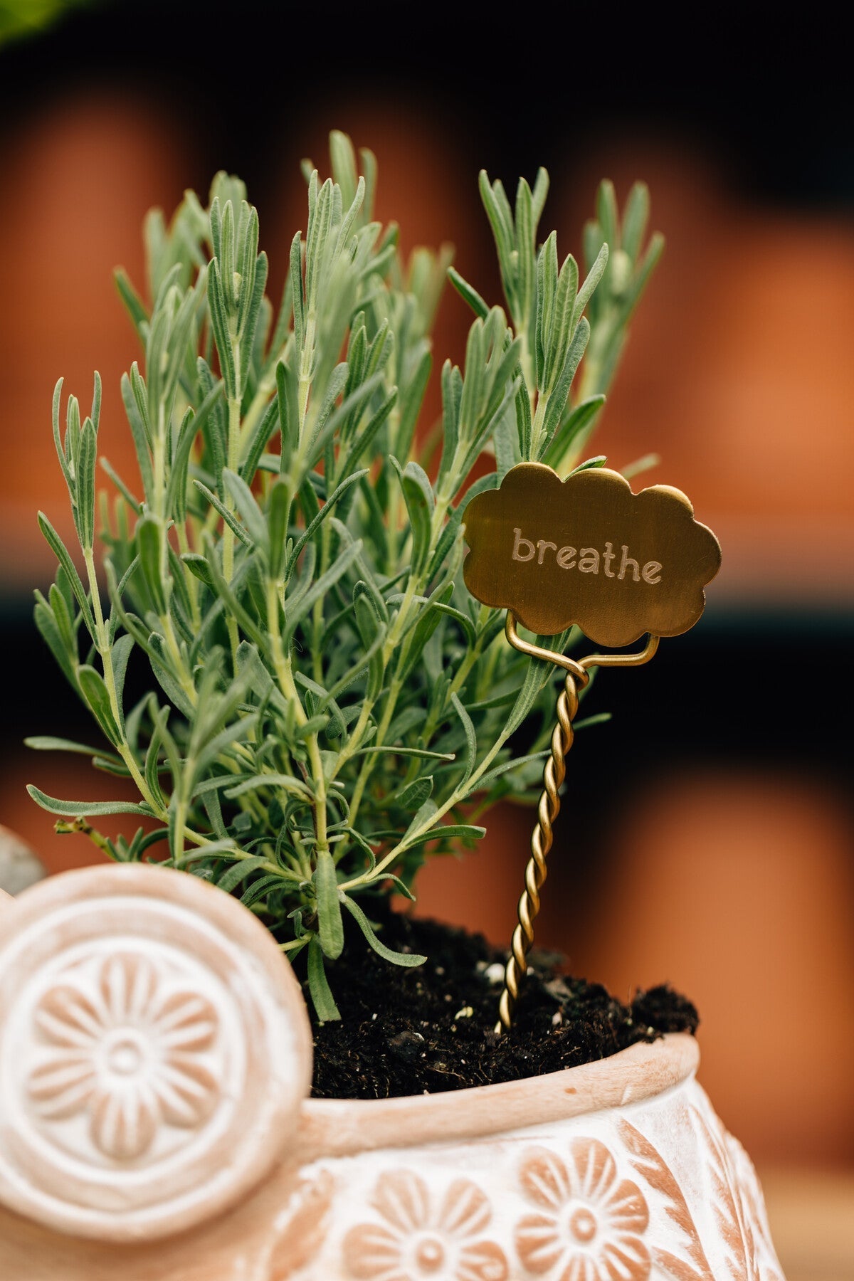 Plant markers S/2 rest steel/br 6.5L brass