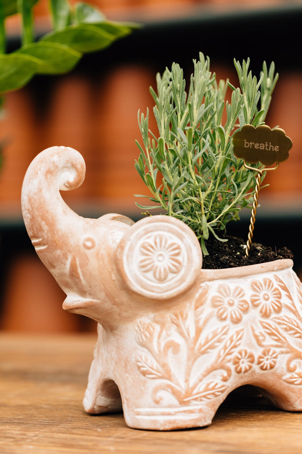 Planter elephant trunk up t-cotta 9Lx8H white wash