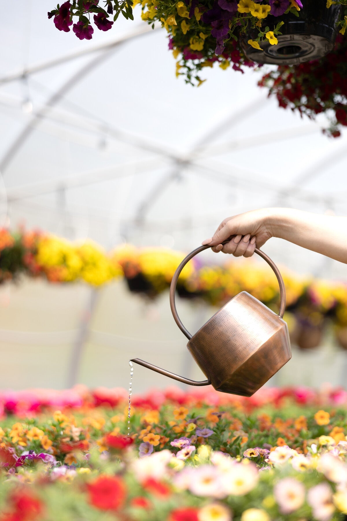 Watering can hammered iron 12.5Lx10.25H antq cppr