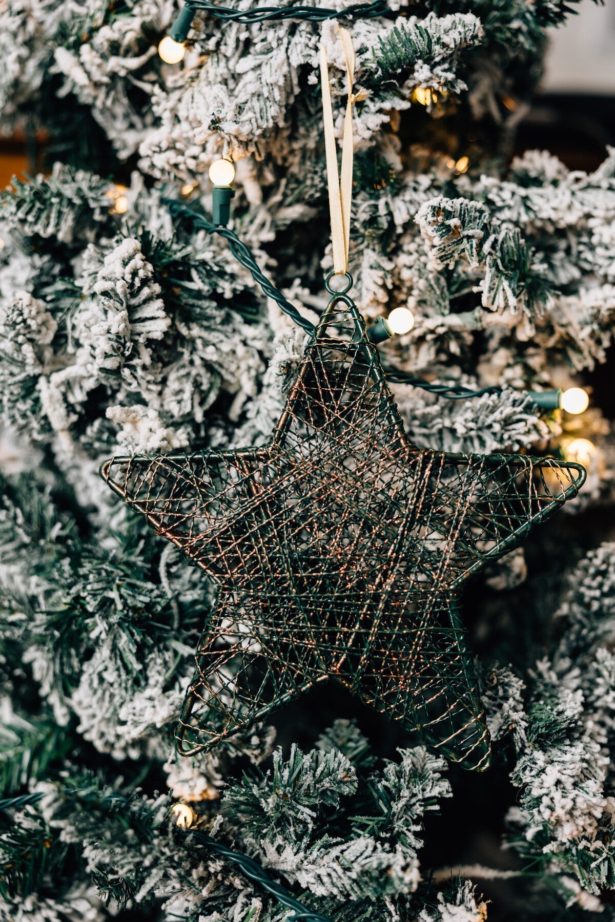 Ornament L3D wire star iron 9D grn/copper