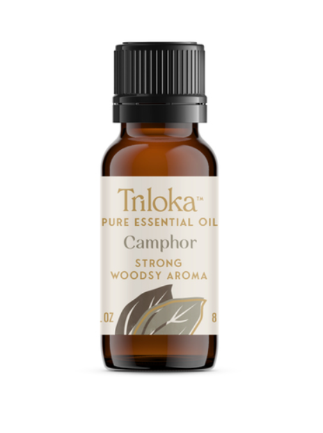 Essential Oil, Camphor