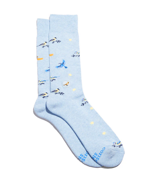 Socks That Protect Songbirds, Medium