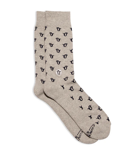 Socks That Protect Penguins, Medium