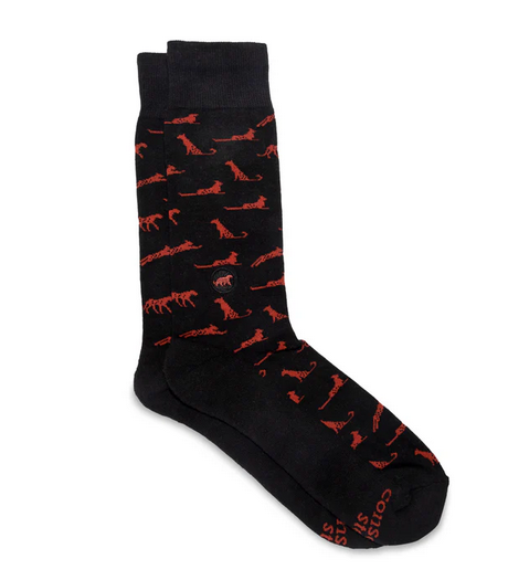 Socks That Protect Cheetahs, Medium