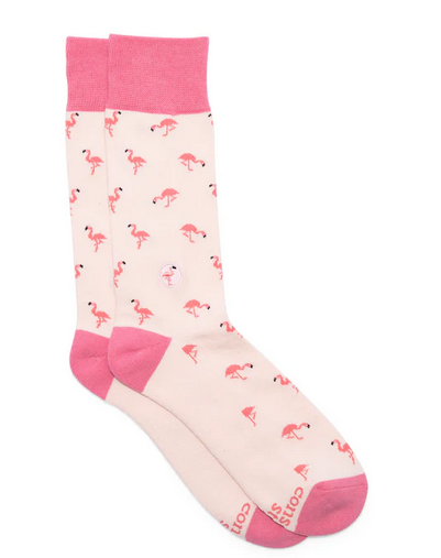 Socks That Protect Flamingos, Medium