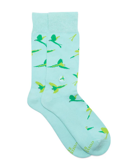 Socks That Protect Macaws, Medium
