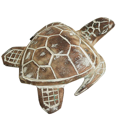 Carved Wooden Turtle