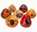 Pollinator Gourd Ornament Assortment
