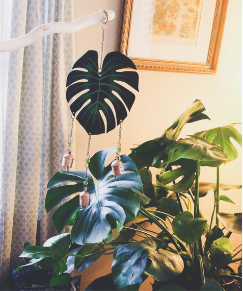 Chime, "Monstera"