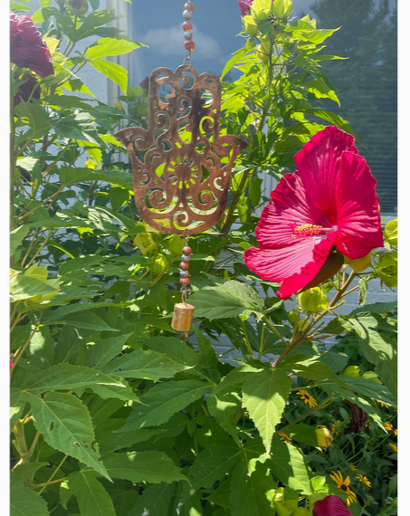 Chime, "Hamsa"