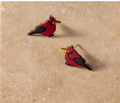 "Carmesi" Cardinal Gourd Earrings