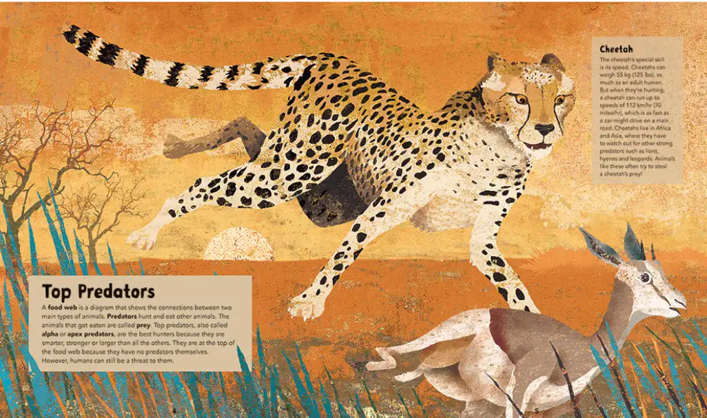 Incredible Animals Hardcover Book