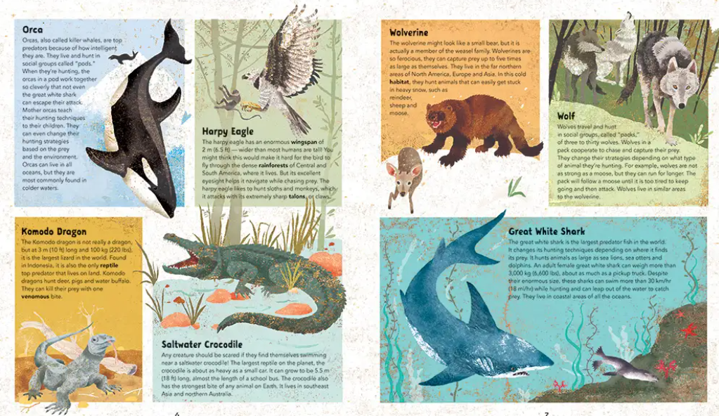 Incredible Animals Hardcover Book