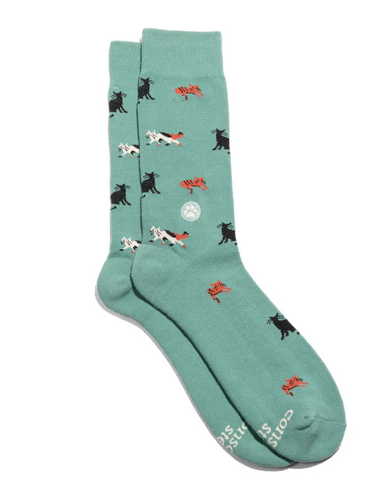 Socks That Save Cats, Medium