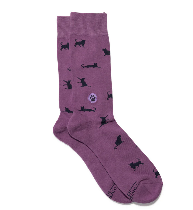Socks That Save Cats, Medium