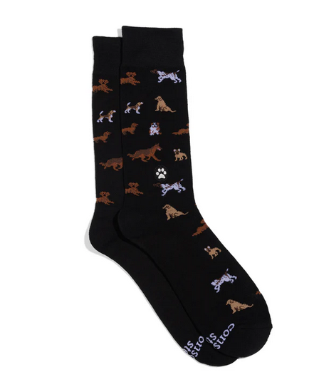 Socks That Help Dogs, Medium