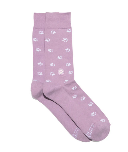 Socks That Help Dogs, Medium