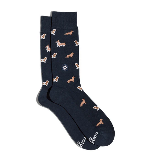 Socks That Help Dogs, Medium