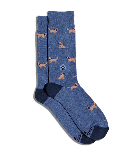Socks That Help Dogs, Medium