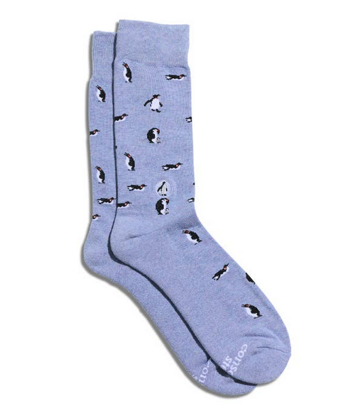 Socks That Protect Penguins, Medium