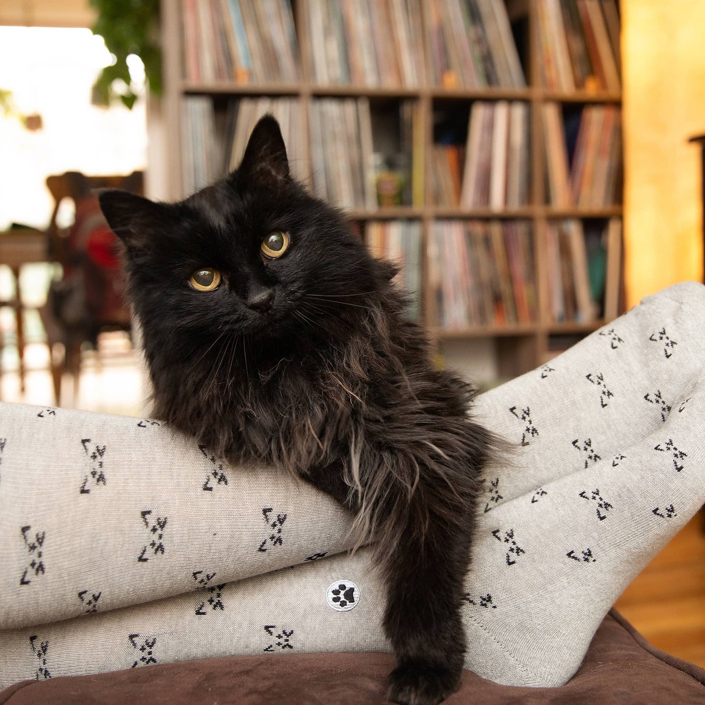Boxed Set Socks that Save Cats^