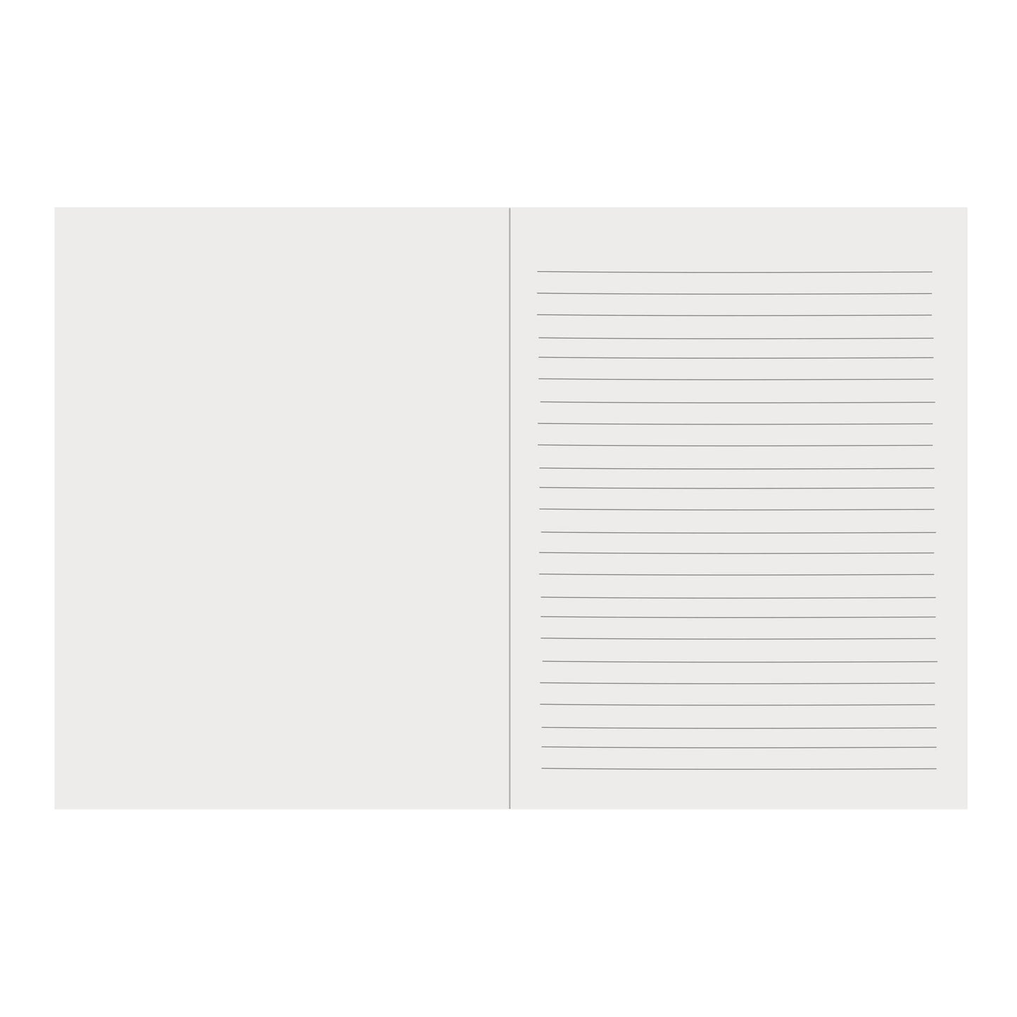 The Smiles Notebook
